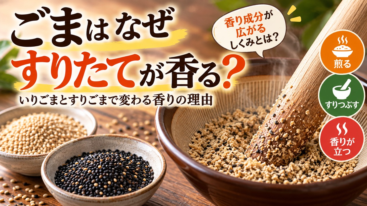 ごまはなぜすりたてが香る？いりごま・すりごまの香りが変わる仕組み