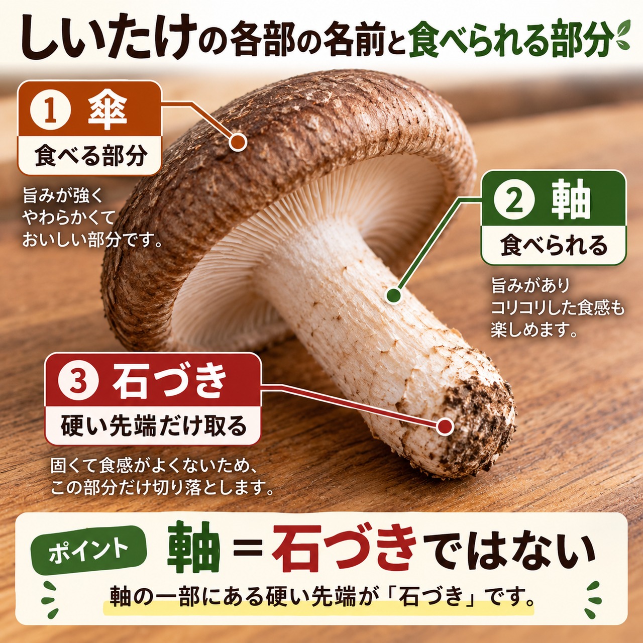しいたけの傘・軸・石づきの位置と食べられる部分を示した図