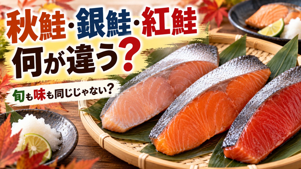 秋鮭・銀鮭・紅鮭は何が違う？旬・脂・味と料理の使い分け