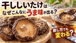 干ししいたけはなぜうま味が濃い？戻し方で変わるおいしさの秘密