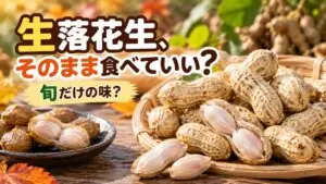 生落花生はそのまま食べられる？茹でる理由・旬・普通のピーナッツとの違い