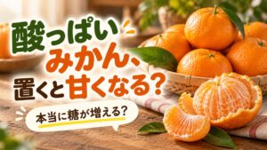 酸っぱいみかんは置くと甘くなる？酸味が減る仕組みとおいしく食べるコツ